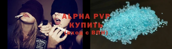 прущие грибы Инсар