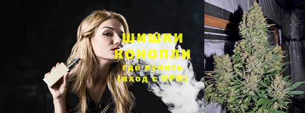 стаф Зеленокумск